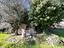 Immagine 21