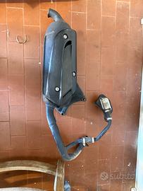 Marmitta Piaggio typhoon