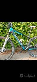 MTB carbonio tg M