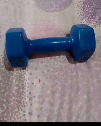 manubrio singolo da 6 Kg in ghisa e gomma 