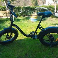 bicicletta pieghevole 