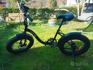 bicicletta pieghevole 