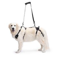 Imbracatura 4 zampe cane