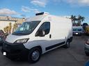 iveco-fiat-ducato-anno-2021-furgone-frigo-e-6