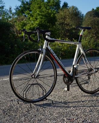 Cannondale Synapse Carbon