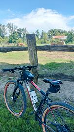 MTB merida 29