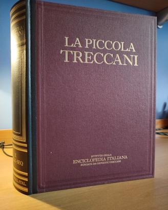 Piccola TRECCANI + vocbolario lingua italiana