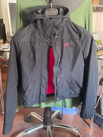 Giubbino hollister XS donna
