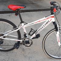 montabike bottecchia 