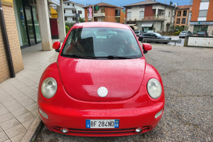 New beetle asi