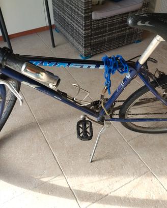 Bici Kastel vintage 