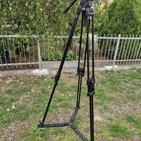 Treppiedi Manfrotto 350 + Testa Fluida 510