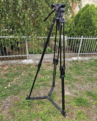 Treppiedi Manfrotto 350 + Testa Fluida 510