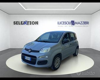 FIAT Panda 3ª serie - Panda 1.2 Easy