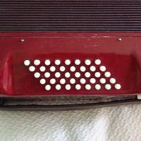 Fisarmonica Cantulia 40 bassi