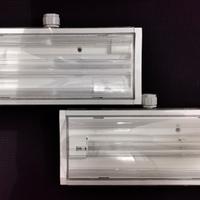 2 Lampade d'emergenza Beghelli  