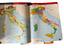 Immagine 6
