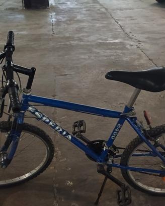 Bicicletta Mountain bike  esperia
