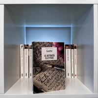 Le affinità elettive