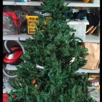 Albero di Natale 2 metri
