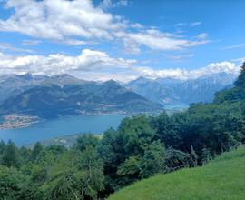 Bilocale lago/montagna