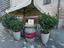 Immagine 6