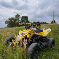 Suzuki Altro modello - 2011