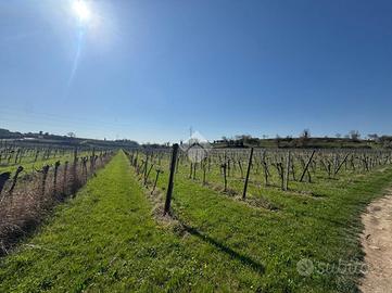 TERRENO A BARDOLINO