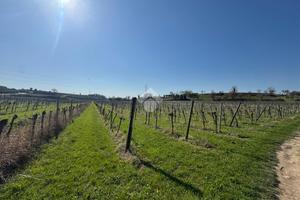 TERRENO A BARDOLINO