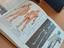 Immagine 3