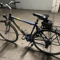 Bici da uomo da passeggio