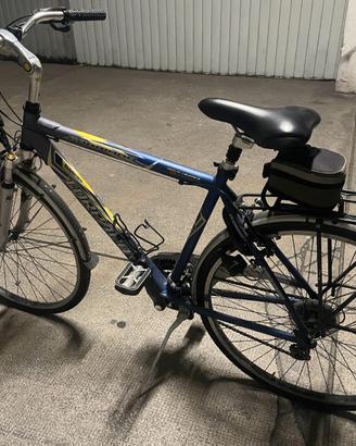 Bici da uomo da passeggio