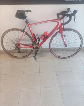 Bicicletta Specialized