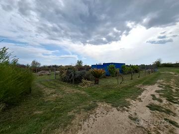 Campo terreno agricolo