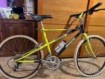 Mountain bike Bianchi ragno theridion