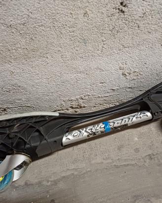 Waveboard/Skateboard 