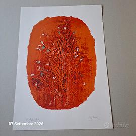 Celiberti Giorgio