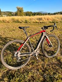 Bici elettrica Trek Domane+