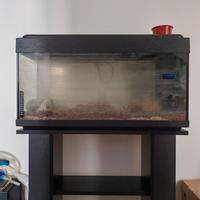 Acquario 80 x 30 x 40 h