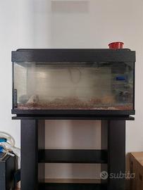 Acquario 80 x 30 x 40 h