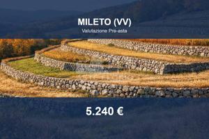 Immobile in asta di 3550 m² a Mileto