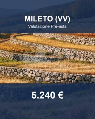 Immobile in asta di 3550 m² a Mileto