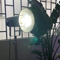 N.2 FLASH PROFESSIONALI BOWENS MONO SILVER 800W CO