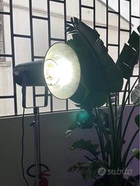 N.2 FLASH PROFESSIONALI BOWENS MONO SILVER 800W CO