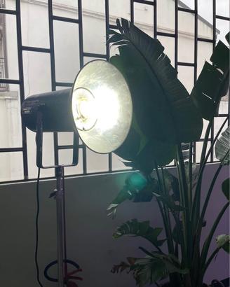 N.2 FLASH PROFESSIONALI BOWENS MONO SILVER 800W CO