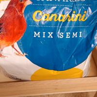 canarini 