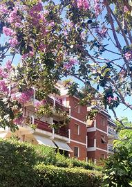 Appartamento a 500 mt dal mare loc. ronchi-massa