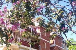 Appartamento a 500 mt dal mare loc. ronchi-massa