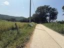 ter-agricolo-a-orte