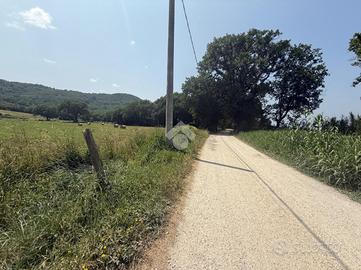 TER. AGRICOLO A ORTE